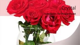  Presentation with roses - PPT theme having beautiful red roses in a vase isolated on white background and a red colored foreground