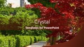  Presentation with region - Presentation having beautiful-red-tree background and a tawny brown colored foreground
