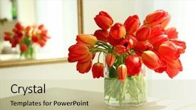  Presentation with red beet root - PPT layouts featuring beautiful red tulips in light background and a soft green colored foreground