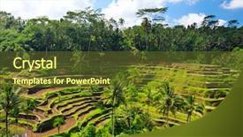 Presentation with central asia - Audience pleasing PPT layouts consisting of beautiful rice terraces at central backdrop and a tawny brown colored foreground