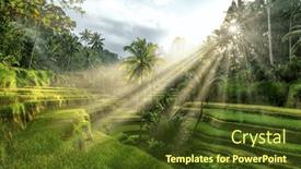  Presentation with rice terraces - PPT layouts with beautiful-rice-terraces-in-tegalalang background and a  colored foreground