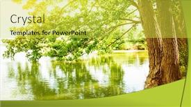  Presentation with forest beautiful spring nature - Presentation design consisting of landscape reflection of big tree background and a yellow colored foreground