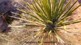  Presentation with nevada desert - Audience pleasing slide set consisting of beautiful-rock-formations backdrop and a coral colored foreground