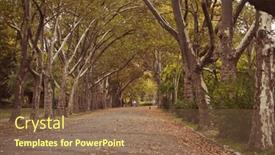  Presentation with romantic - 