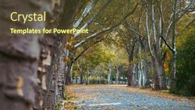  Presentation with romantic - 