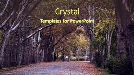  Presentation with romantic - 