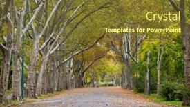  Presentation with romantic - 