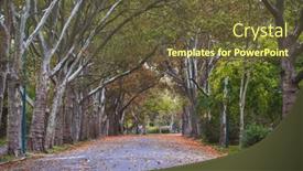  Presentation with romantic - 