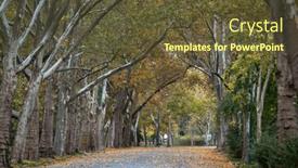  Presentation with romantic - 