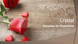  Presentation with rose wood - Colorful PPT theme enhanced with beautiful rose with small hearts backdrop and a  colored foreground