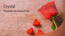  Presentation with hearts - Amazing presentation having beautiful rose with small hearts backdrop and a  colored foreground