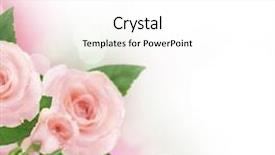  Presentation with roses - Slides enhanced with flower corner - beautiful roses border background and a white colored foreground