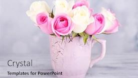  Presentation with light roses - Presentation theme having beautiful roses in cup on light background background and a light gray colored foreground