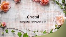  Presentation with roses - Presentation featuring beautiful roses on wooden background background and a lemonade colored foreground