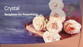  Presentation with vintage book - Presentation design consisting of beautiful roses with vintage book background and a  colored foreground