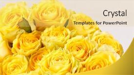 Presentation with roses - Presentation theme with hall of prayer for good background and a  colored foreground.