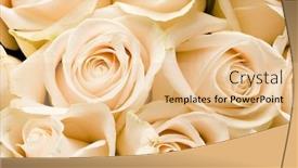  Presentation with roses - Slides consisting of beautiful-roses background and a lemonade colored foreground