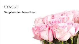  Presentation with roses - PPT layouts featuring beautiful roses background and a white colored foreground