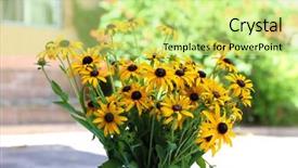  Presentation with flowers vase - Cool new presentation design with beautiful rudbeckia flowers in vase backdrop and a soft green colored foreground
