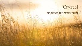  Presentation with meadow - Cool new slide deck with beautiful-rural-landscape-meadow backdrop and a cream colored foreground