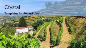  Presentation with cultures - PPT theme featuring beautiful rural landscape with bright green vine cultures in the douro region portugal background and a light blue colored foreground