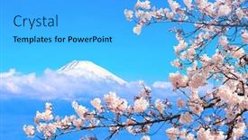  Presentation with mount fuji - Theme with beautiful-sacred-mount-fuji-fujiyama background and a light blue colored foreground