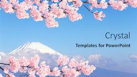  Presentation with japan sakura - Beautiful presentation theme featuring beautiful-sacred-mount-fuji-fujiyama backdrop and a light blue colored foreground