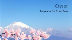  Presentation with japan sakura - Cool new PPT theme with beautiful-sacred-mount-fuji-fujiyama backdrop and a light blue colored foreground