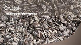  Presentation with salty - 