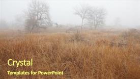  Presentation with savannah - Cool new presentation theme with beautiful savannah landscape at dawn backdrop and a tawny brown colored foreground