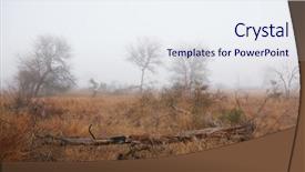  Presentation with savannah - Amazing slides having beautiful savannah landscape at dawn backdrop and a sky blue colored foreground