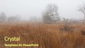  Presentation with savannah - Theme consisting of beautiful savannah landscape at dawn background and a tawny brown colored foreground