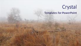  Presentation with savannah - Beautiful PPT theme featuring beautiful savannah landscape at dawn backdrop and a sky blue colored foreground