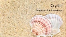  Presentation with sand - Colorful slides enhanced with beautiful scallop seashells on sand backdrop and a lemonade colored foreground