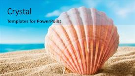  Presentation with sea shell - Beautiful PPT layouts featuring beautiful scallops sea shell backdrop and a cyan colored foreground