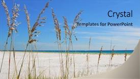  Presentation with sea and beach - Presentation theme having beautiful sea oats on pretty background and a teal colored foreground