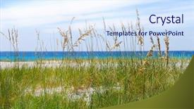  Presentation with sea - Slides having beautiful sea oats with turquoise background and a sky blue colored foreground