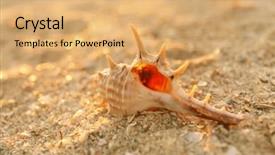  Presentation with sea shell - PPT theme featuring beautiful-shell-on-sea-coast background and a yellow colored foreground