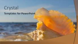  Presentation with divine - Colorful slides enhanced with beautiful-shell-seascape-divine backdrop and a light blue colored foreground