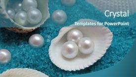  Presentation with shells - Colorful PPT theme enhanced with beautiful shells and pearls isolated backdrop and a  colored foreground