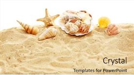  Presentation with shells - Beautiful slide deck featuring beautiful shells on sand against white background backdrop and a lemonade colored foreground