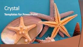  Presentation with shells stars - Beautiful PPT layouts featuring beautiful shells pearls and sea backdrop and a  colored foreground