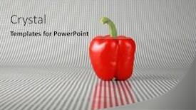  Presentation with stem - Slides having beautiful-single-red-bell-pepper background and a light gray colored foreground