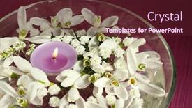  Presentation with water glass - Beautiful PPT theme featuring beautiful-snowdrops-and-candle backdrop and a wine colored foreground