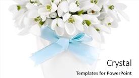  Presentation with beautiful - Amazing slide set having beautiful snowdrops in vase isolated backdrop and a white colored foreground