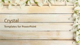  Presentation with prebiotics probiotics a wooden - PPT theme having beautiful snowdrops on wooden background background and a lemonade colored foreground