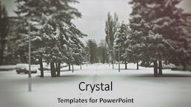  Presentation with weather - Theme featuring beautiful snowy weather and winter background and a light gray colored foreground