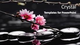  Presentation with zen stones - PPT layouts having beautiful-spa-cherry-flowers background and a black colored foreground