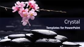  Presentation with zen - Slide set consisting of beautiful-spa-cherry-flowers background and a wine colored foreground