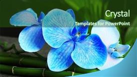  Presentation with blue spa - Amazing slide deck having beautiful spa composition with blue backdrop and a tawny brown colored foreground